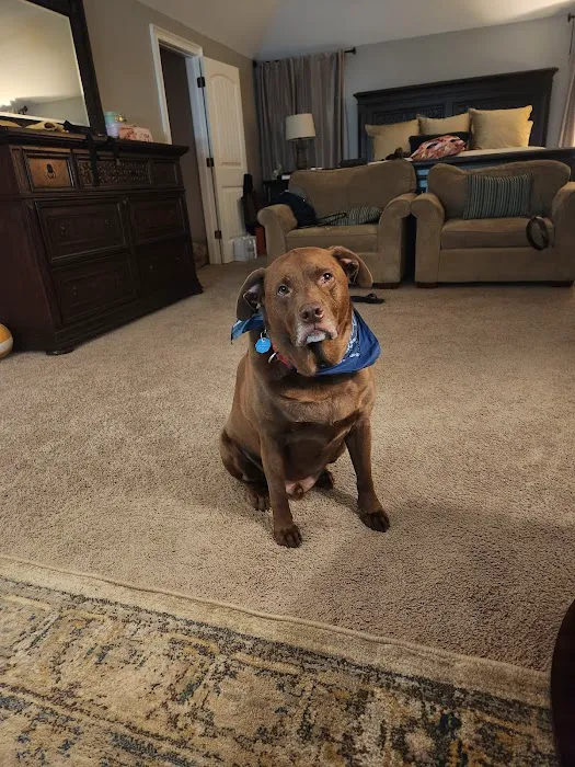Vet Vaccinations Clinic at Tractor Supply Co. Picture 1