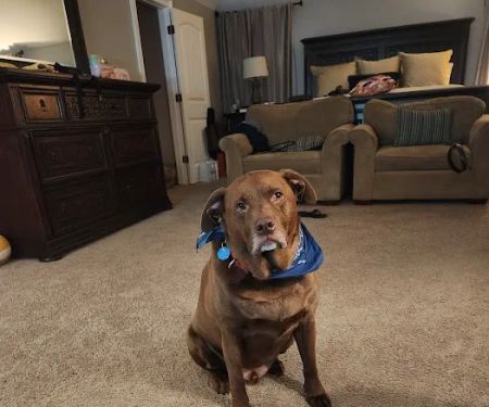 Vet Vaccinations Clinic at Tractor Supply Co.