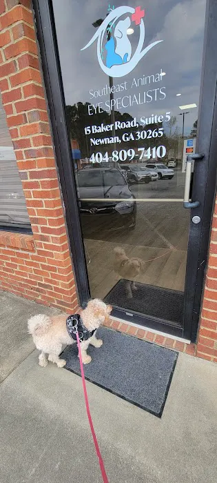Southeast Animal Eye Specialists Picture 7