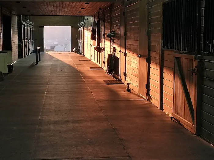 Southern Crescent Equine Services Picture 5