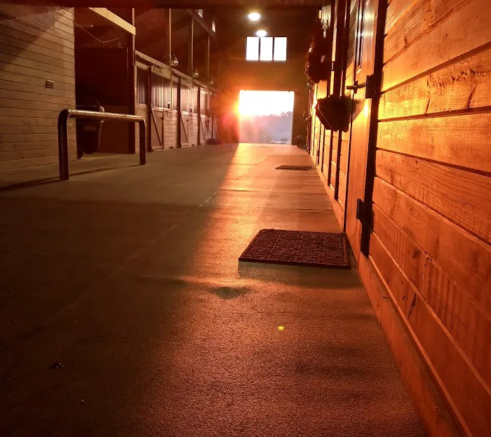 Southern Crescent Equine Services Picture 7