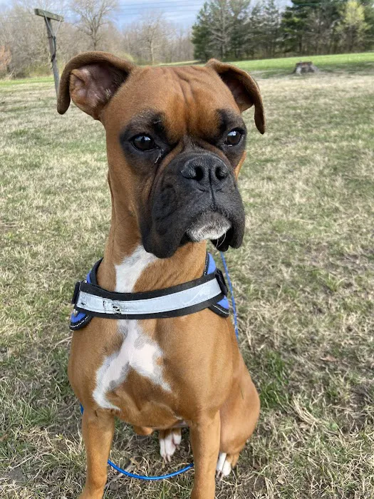 Animal Medical Center Litchfield Picture 2