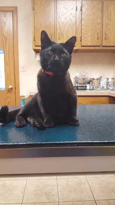 Animal Medical Center Litchfield Picture 4