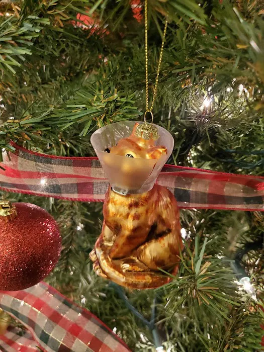 Animal Medical Center Litchfield Picture 5