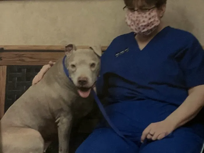 Animal Medical Center Litchfield Picture 10