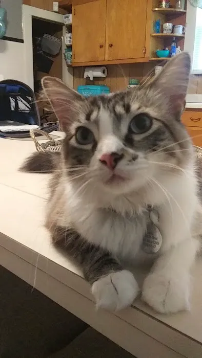 Dr. John Steinmeyer Picture 2