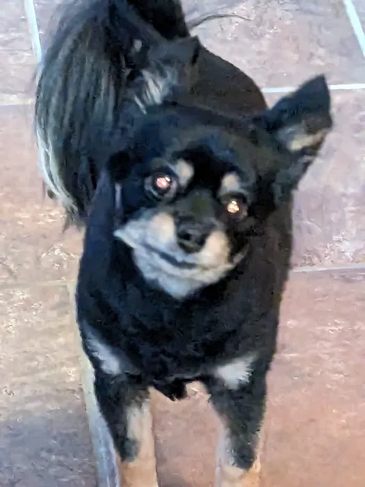 Dr. John Steinmeyer Picture 1