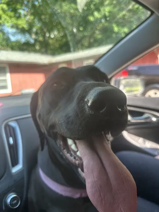 Dr. John Steinmeyer Picture 10