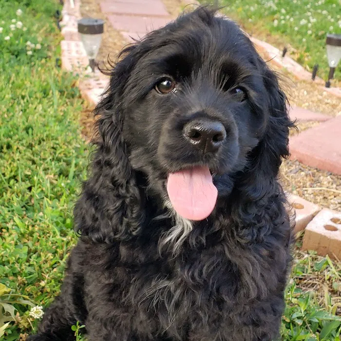 Eagleridge Veterinary Clinic Picture 2