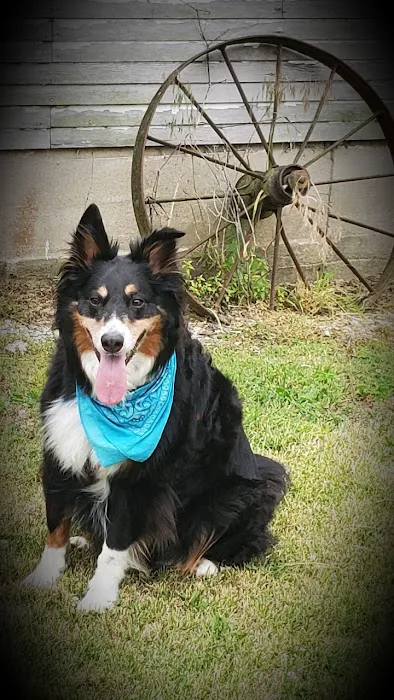 Eagleridge Veterinary Clinic Picture 4