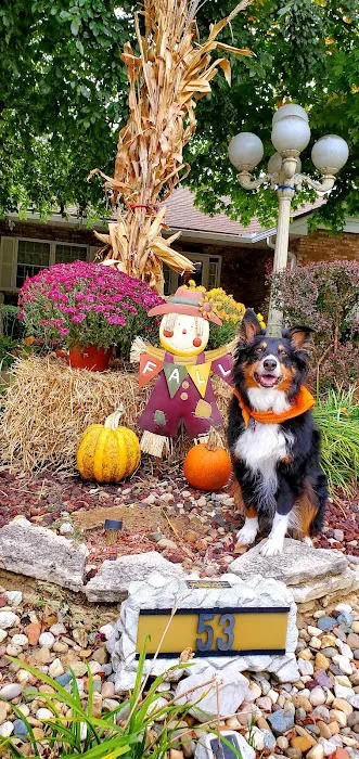 Eagleridge Veterinary Clinic Picture 3