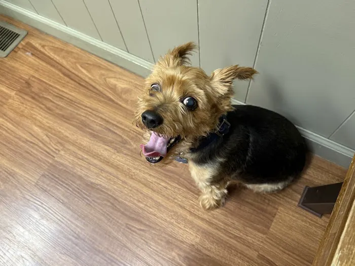 Daniel-Randall Veterinary Clinic Picture 4