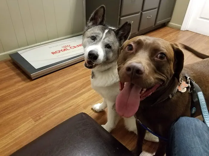 Daniel-Randall Veterinary Clinic Picture 3