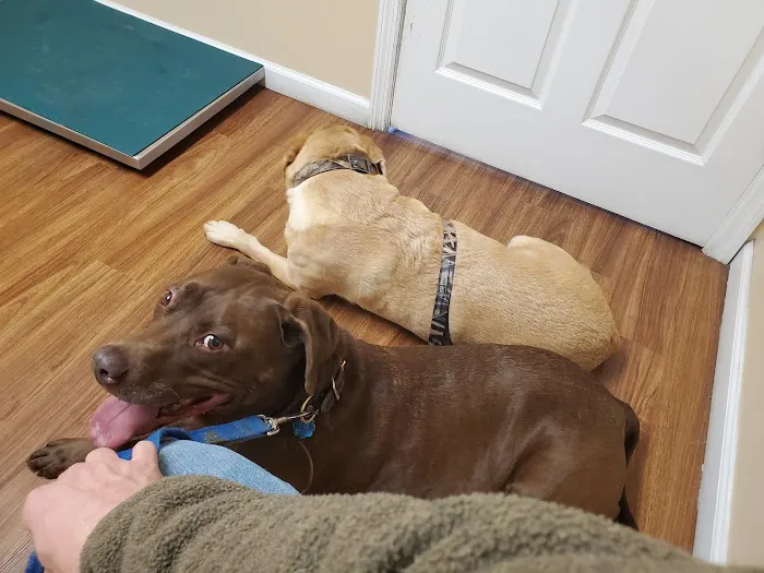 Daniel-Randall Veterinary Clinic Picture 2