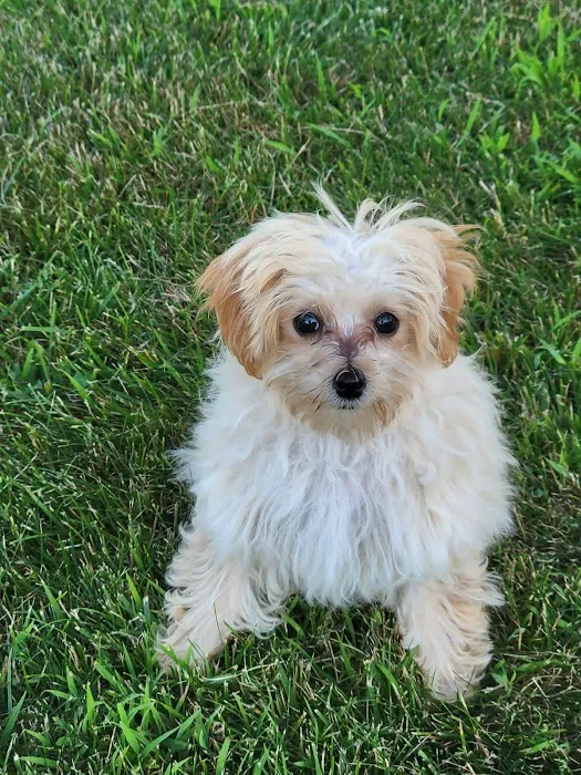 Daniel-Randall Veterinary Clinic Picture 5