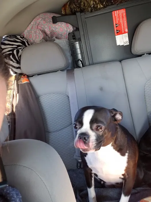 Daniel-Randall Veterinary Clinic Picture 10