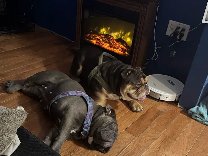 Daniel-Randall Veterinary Clinic Picture 6