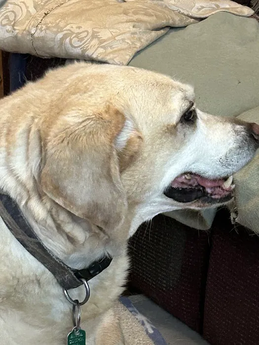 Daniel-Randall Veterinary Clinic Picture 8