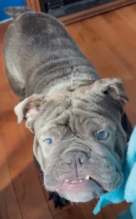 Daniel-Randall Veterinary Clinic Picture 7