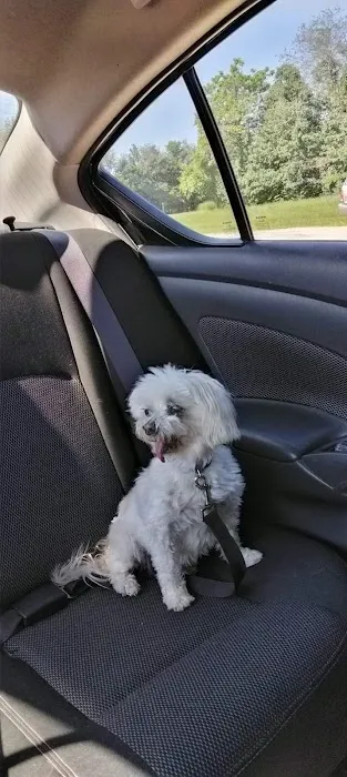 Great Rivers Animal Hospital Picture 6