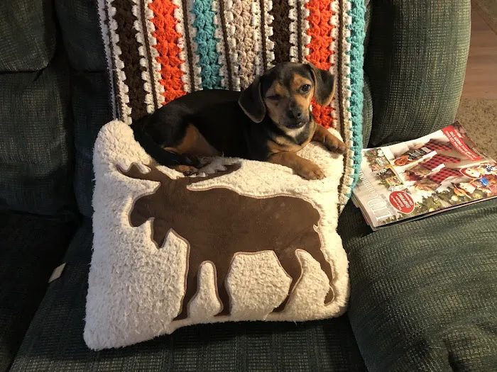 Great Rivers Animal Hospital Picture 7