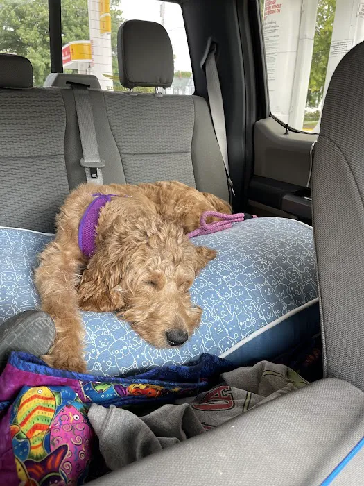 Alton Animal Clinic, Formerly Formea Animal Hospital Picture 8