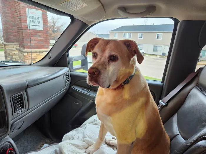 Anamosa Veterinary Clinic Picture 1