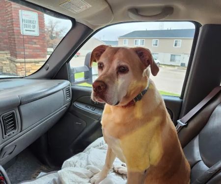 Anamosa Veterinary Clinic