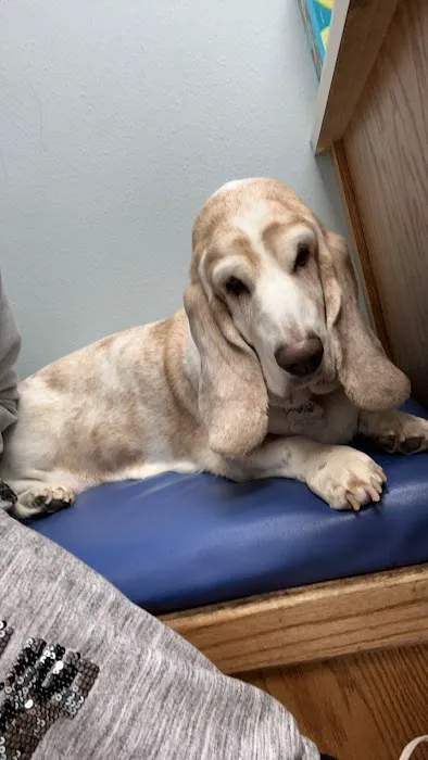 Anamosa Veterinary Clinic Picture 3