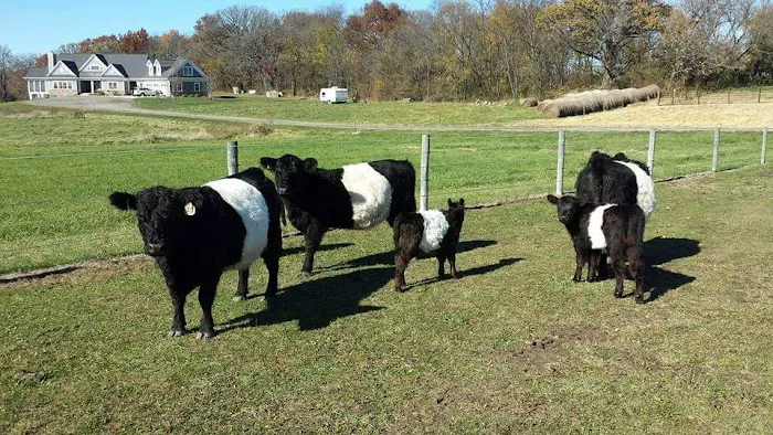 Anamosa Veterinary Clinic Picture 2