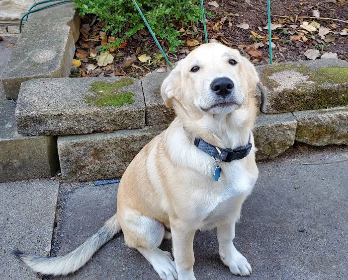 Anamosa Veterinary Clinic Picture 6