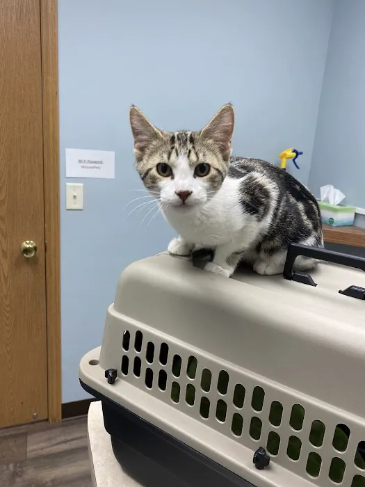 Anamosa Veterinary Clinic Picture 5