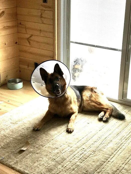 Anamosa Veterinary Clinic Picture 9