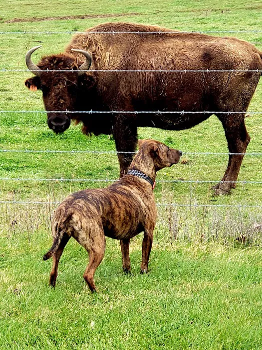 Anamosa Veterinary Clinic Picture 7