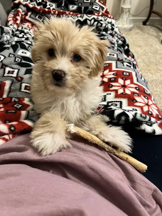 Anamosa Veterinary Clinic Picture 8