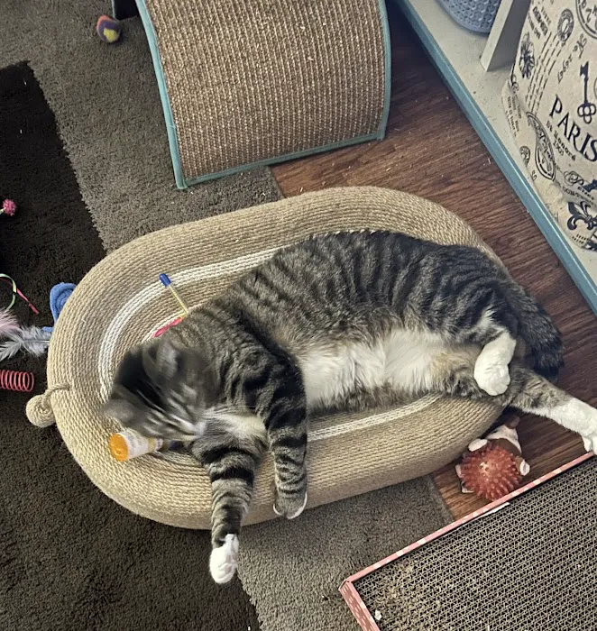 Muscatine Veterinary Hospital Picture 1