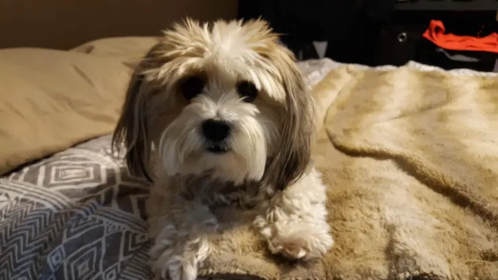 West Liberty Veterinary Clinic Picture 3