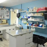 Riverside Animal Hospital ico