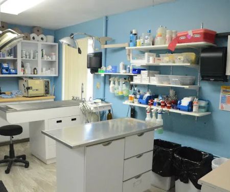 Riverside Animal Hospital