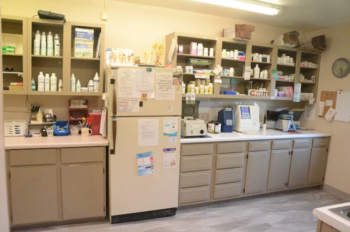 Riverside Animal Hospital Picture 3