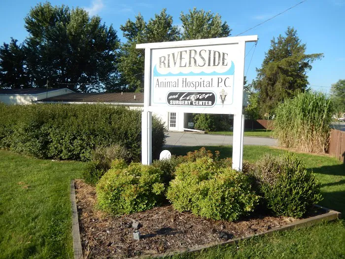 Riverside Animal Hospital Picture 8