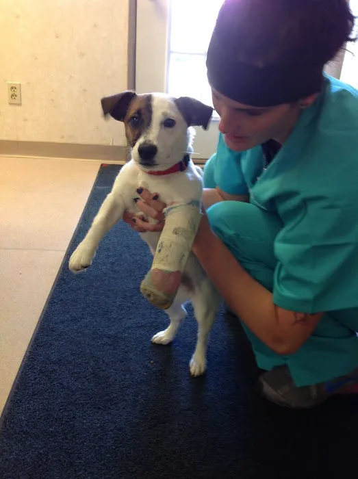 Riverside Animal Hospital Picture 7