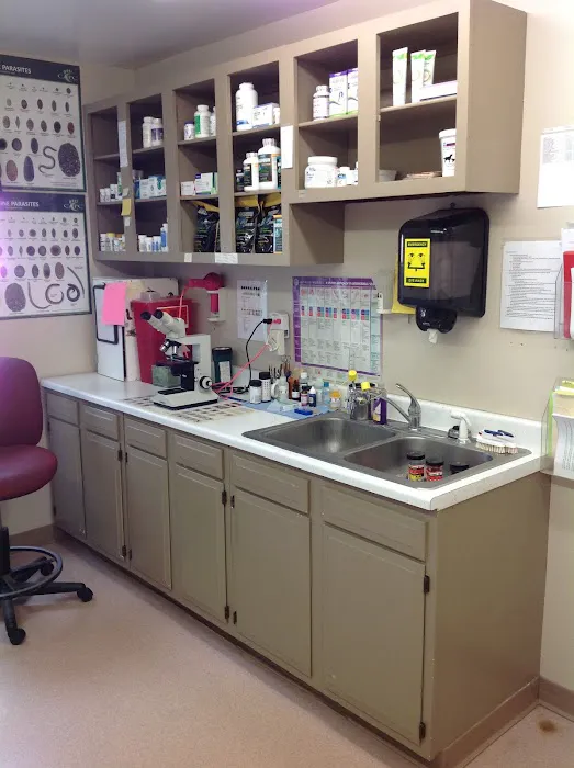 Riverside Animal Hospital Picture 5