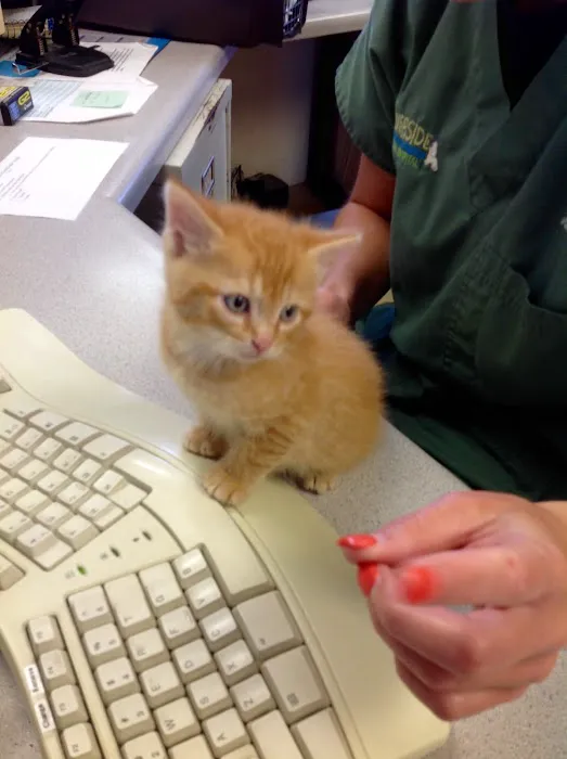 Riverside Animal Hospital Picture 6