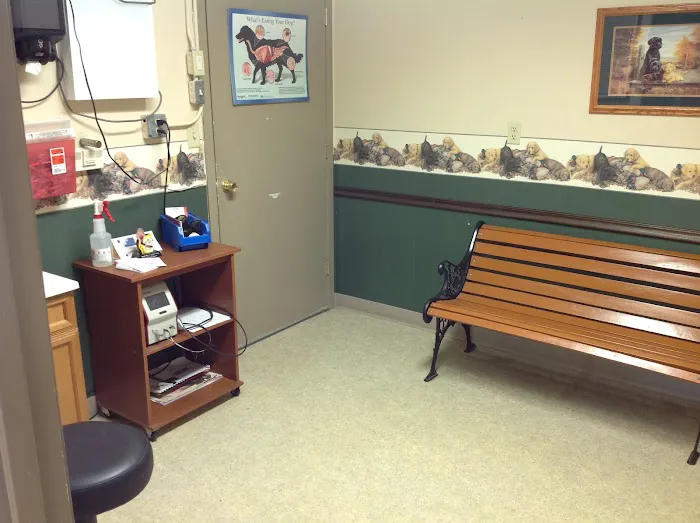 Riverside Animal Hospital Picture 9