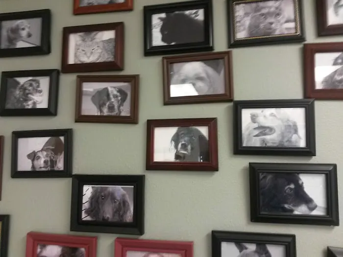 Family Pet Veterinary Picture 1