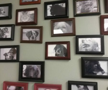 Family Pet Veterinary