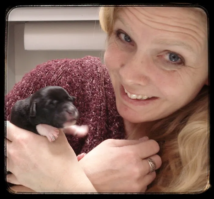 Family Pet Veterinary Picture 5