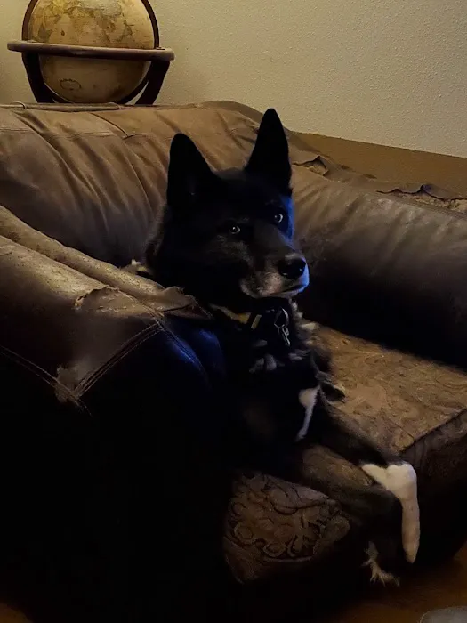 Family Pet Veterinary Picture 3