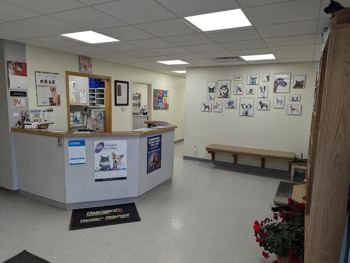 Family Pet Veterinary Picture 7